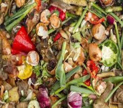 Organic Waste Shredding Machine